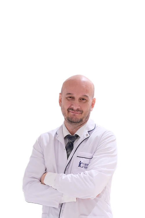 Prof. Dr. Toygar TOYDEMİR